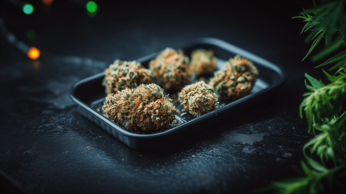 Qualität erkennen: Was macht gute Cannabisblüten aus? - Hanfify