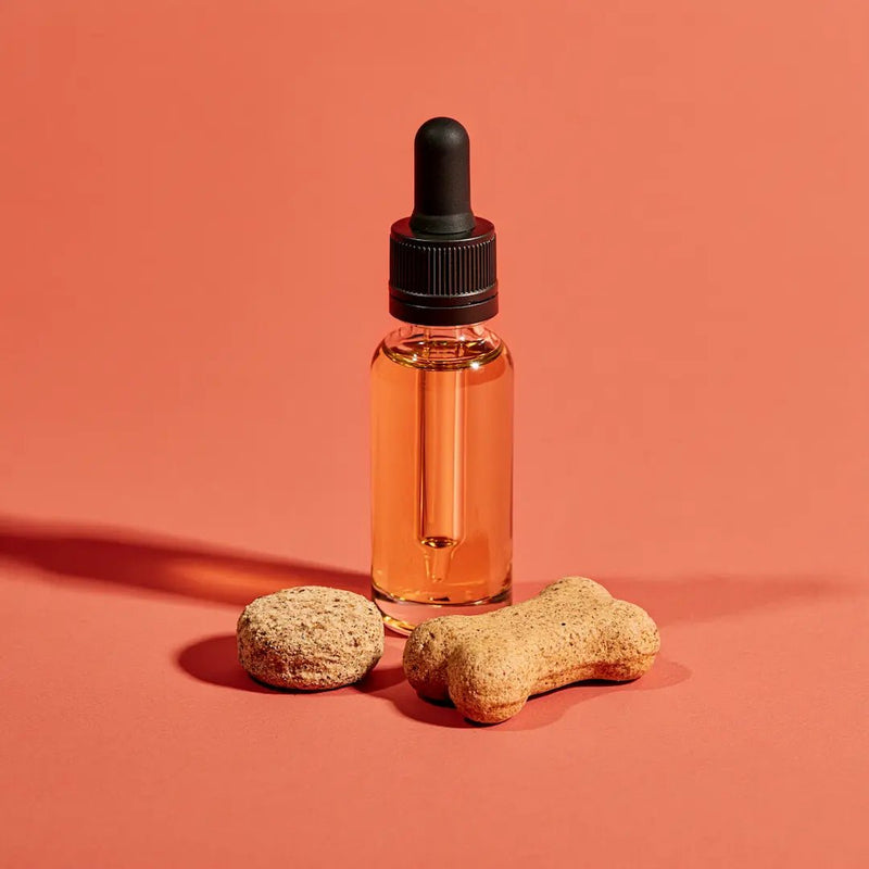 CBD für Tiere - Hanfify