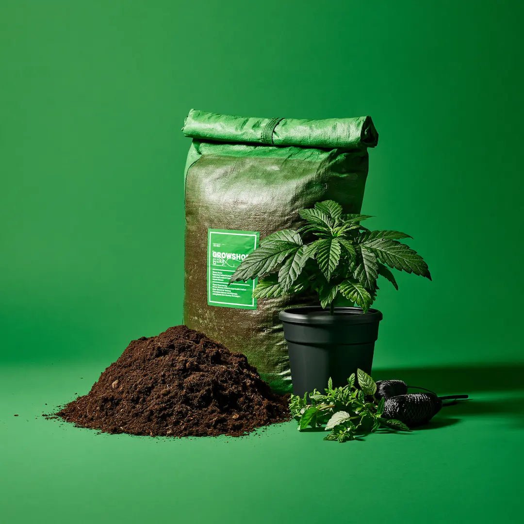 Growshop - Hanfify