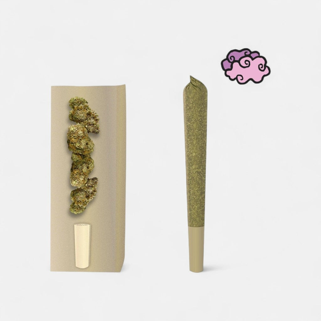 😶‍🌫️ Amnesia 12% CBD Prerolls Joints 3er Pack - Hanfify