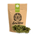 Amnesia Haze Ökopack Blüten 3g - Hanfify®