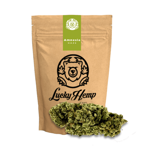 Amnesia Haze Ökopack Blüten 3g - Hanfify®