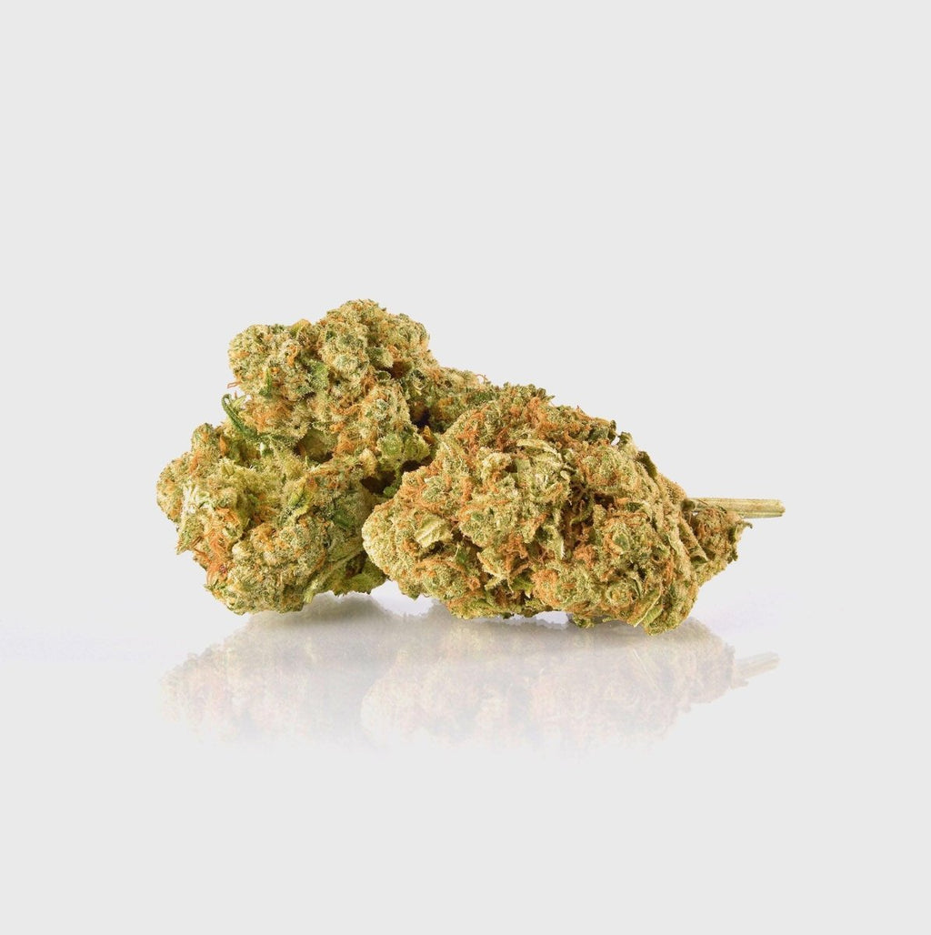 😶‍🌫️ Amnesia Haze - Power LVL: 5/5 Blüten 5g - Hanfify