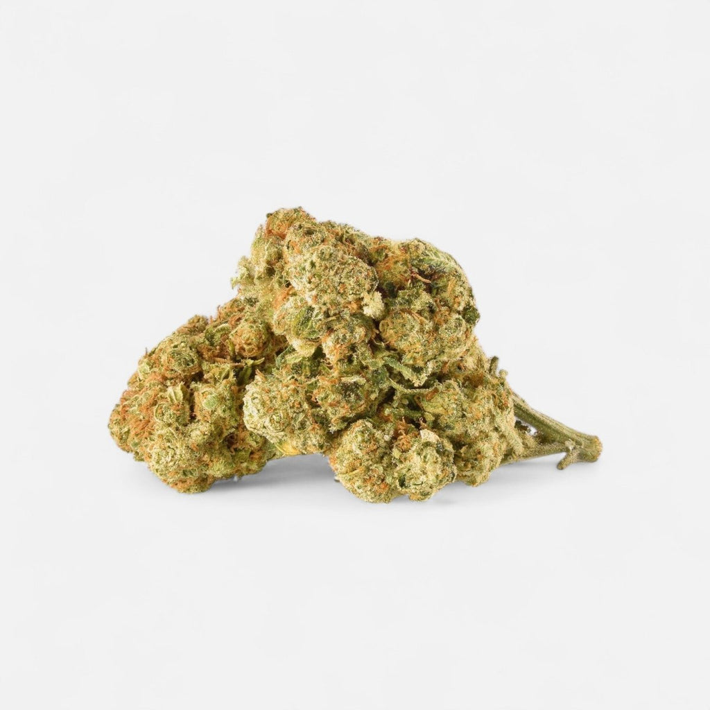 😶‍🌫️ Amnesia Haze - Power LVL: 5/5 Blüten 5g - Hanfify