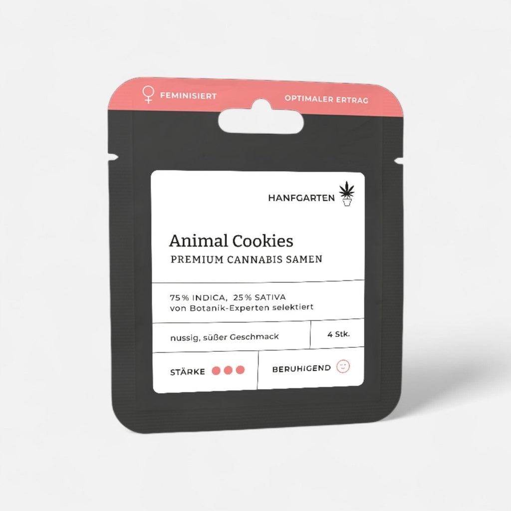 Animal Cookies | Feminisiert Cannabissamen - Hanfify