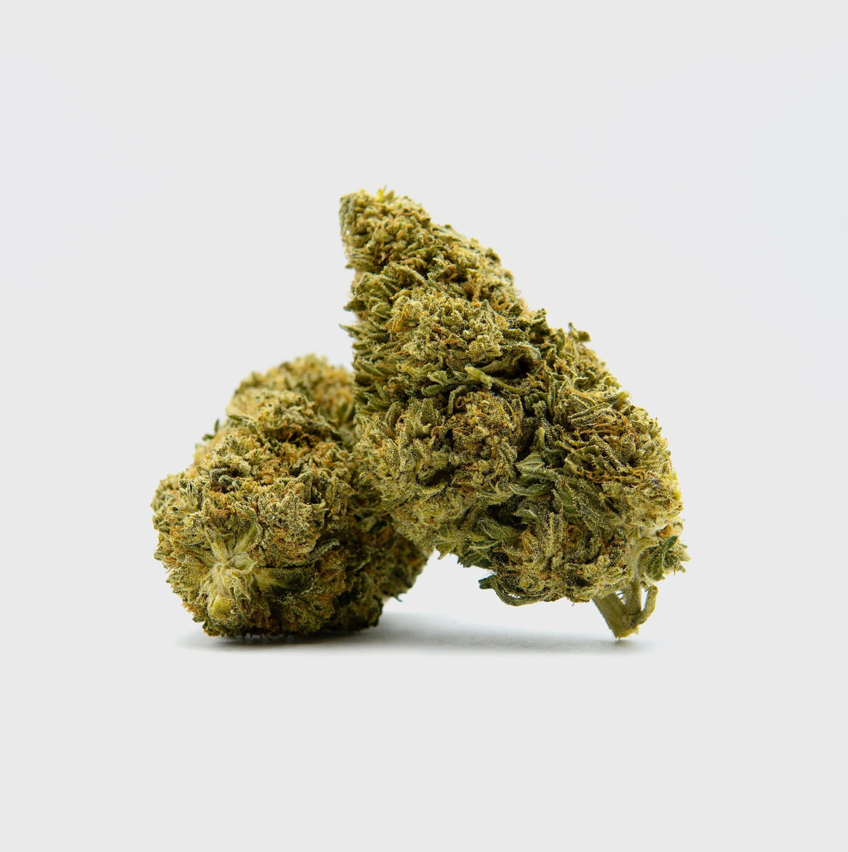 Black Diesel Superior ⛽️ Blüten 2g - Hanfify