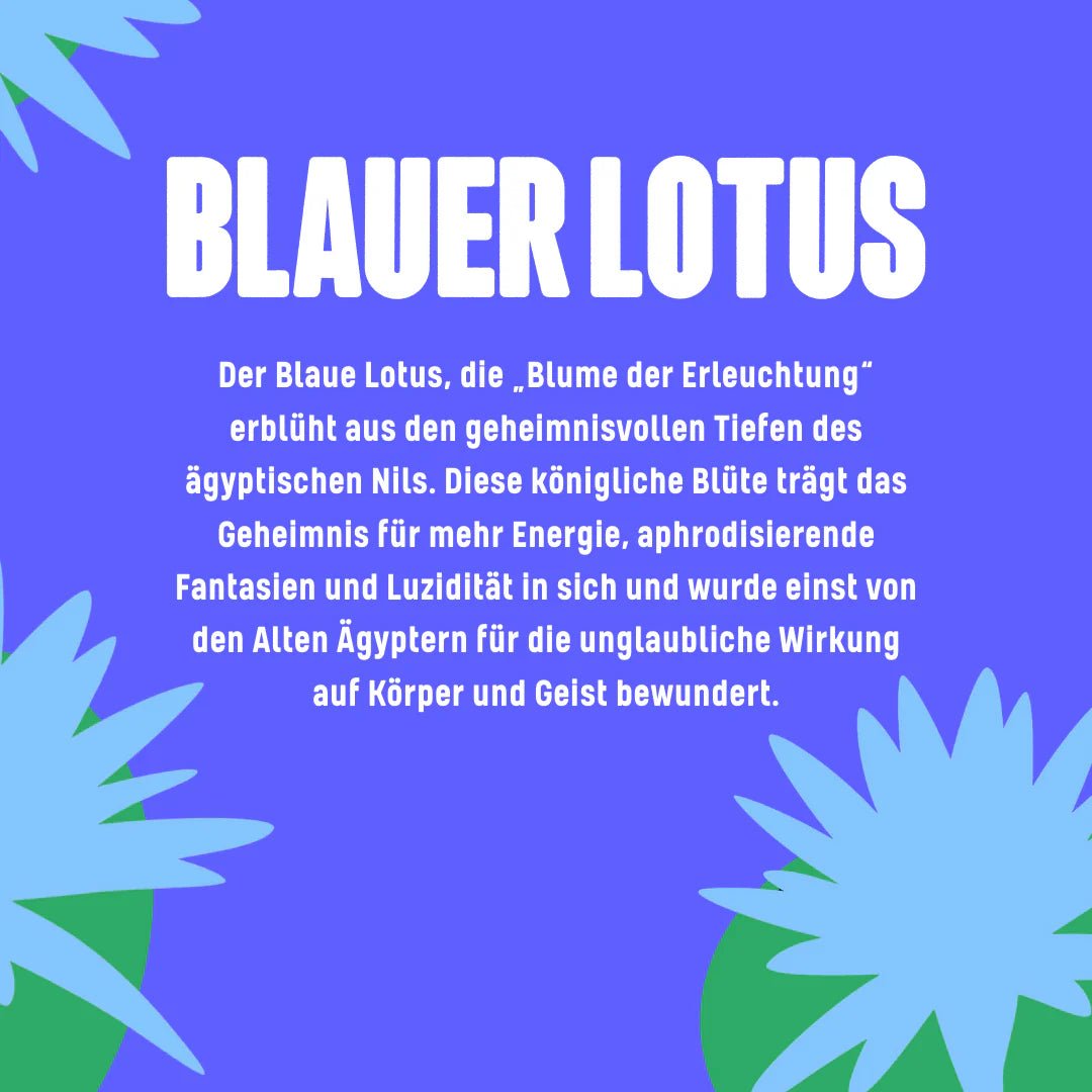 Blauer Lotus Hasch 🍫🪷 Smartshop 5g - Hanfify