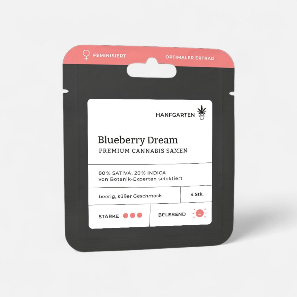 Blueberry Dream | Feminisiert Cannabissamen - Hanfify