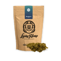 Blueberry Haze Ökopack Blüten 3g - Hanfify®