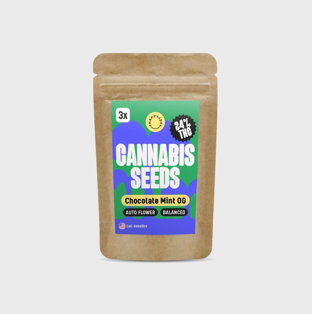 Cali Genetics Chocolate Mint OG 21,3% THC 🌱 auto flowering Cannabissamen 3 Stück - Hanfify