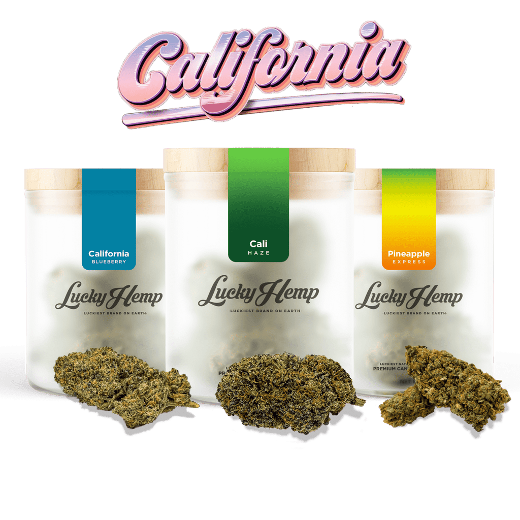 Cali Set Blüten 3 Sorten je 1g - Hanfify®