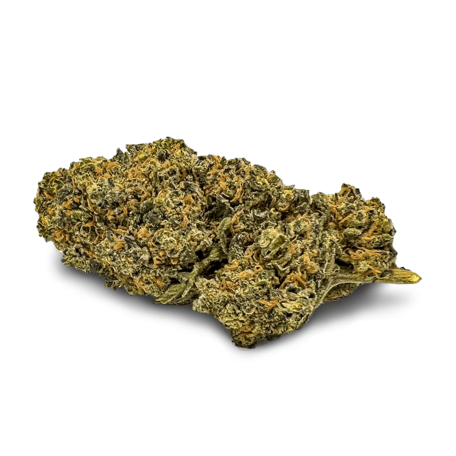 California Blueberry Ökopack Blüten 3g - Hanfify®