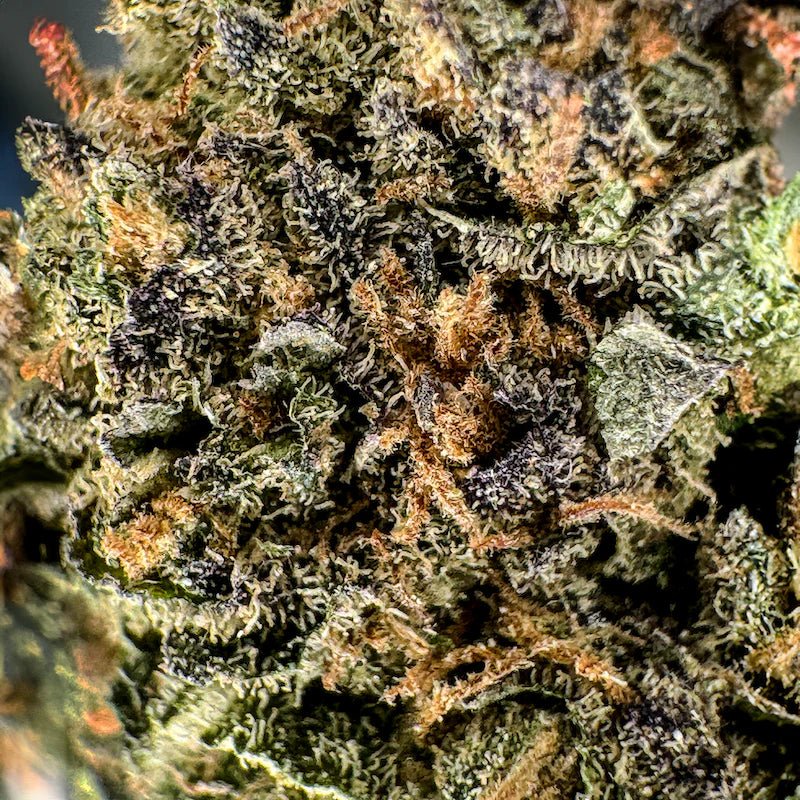 Candy Grape Glas Blüten 3g - Hanfify®
