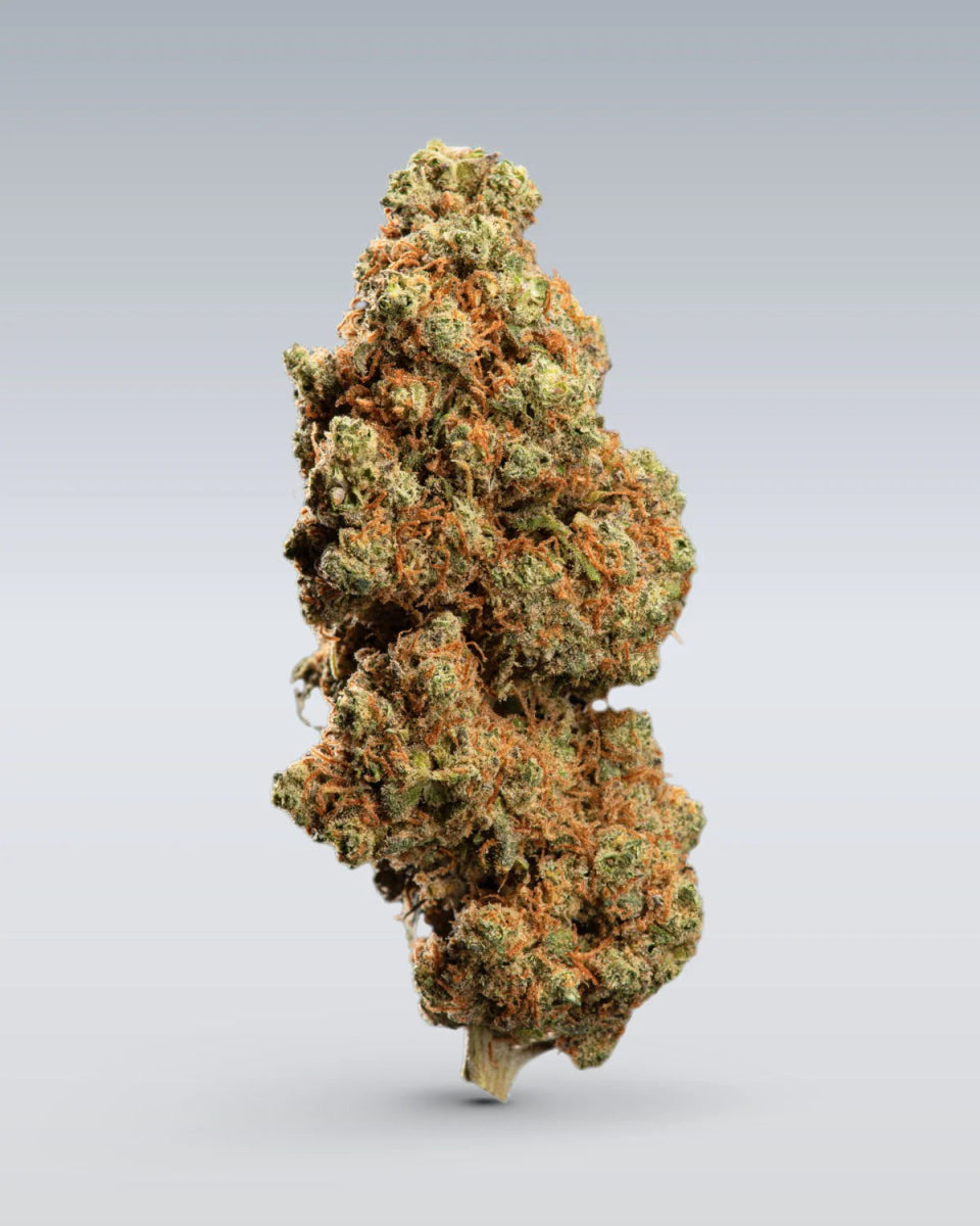 CBD Blüten Probierset | 3 Custom Bags Bundles - Hanfify