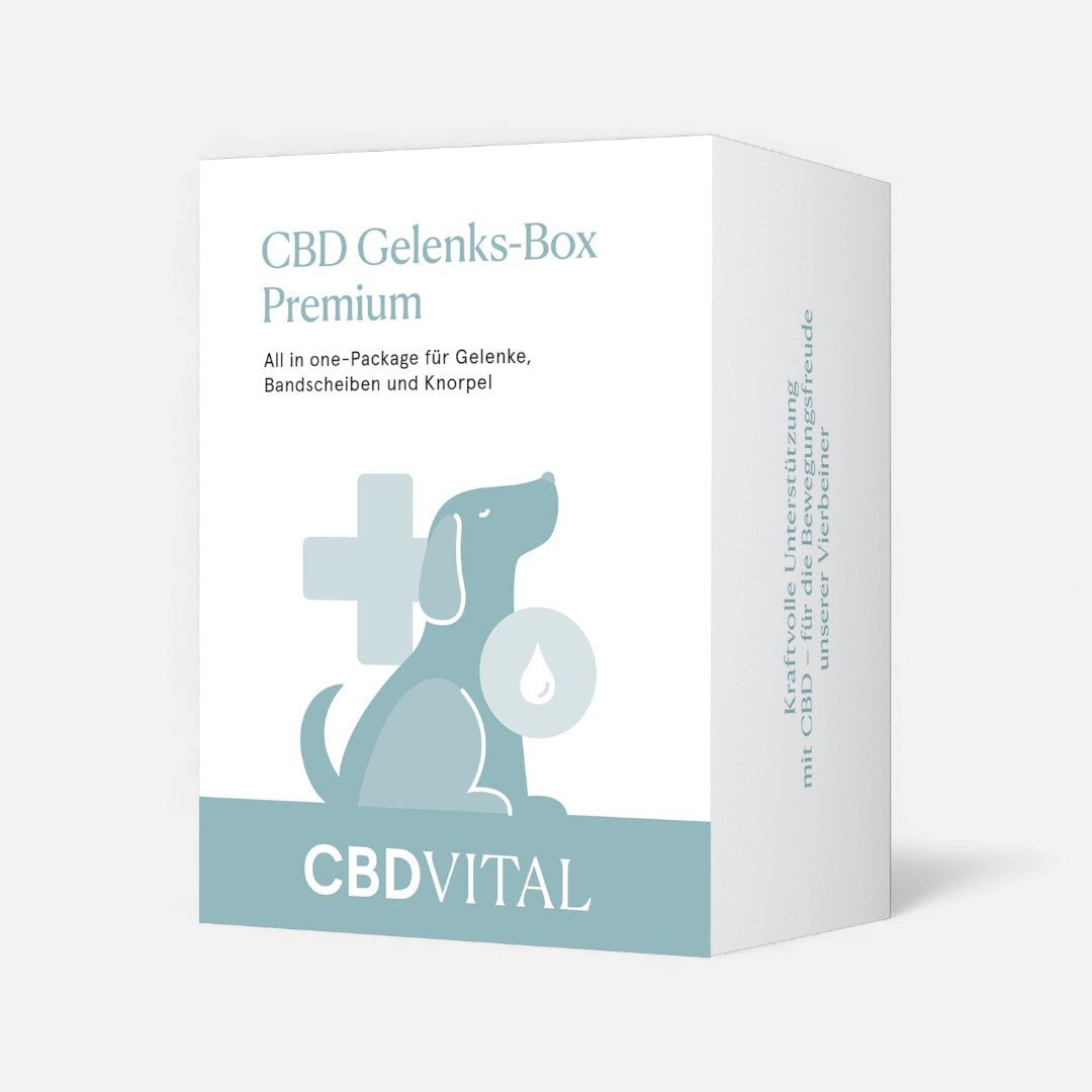 CBD Gelenks - Box Premium CBD für Tiere 2 Stk. - Hanfify