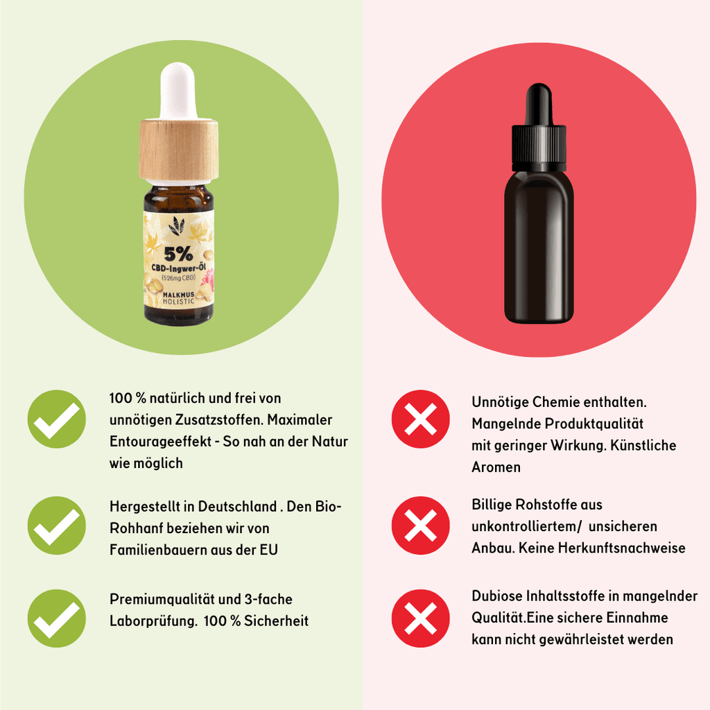 🌱 CBD+Ingwer Naturextrakt PREMIUM Öl 10ml Öl - Hanfify