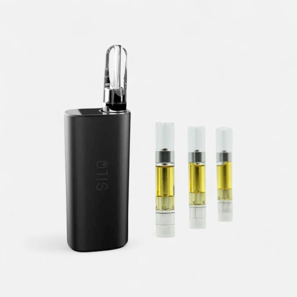 CCELL All - In Vape Bundle Vapes CCELL Palm / 1 Kartusche - Hanfify