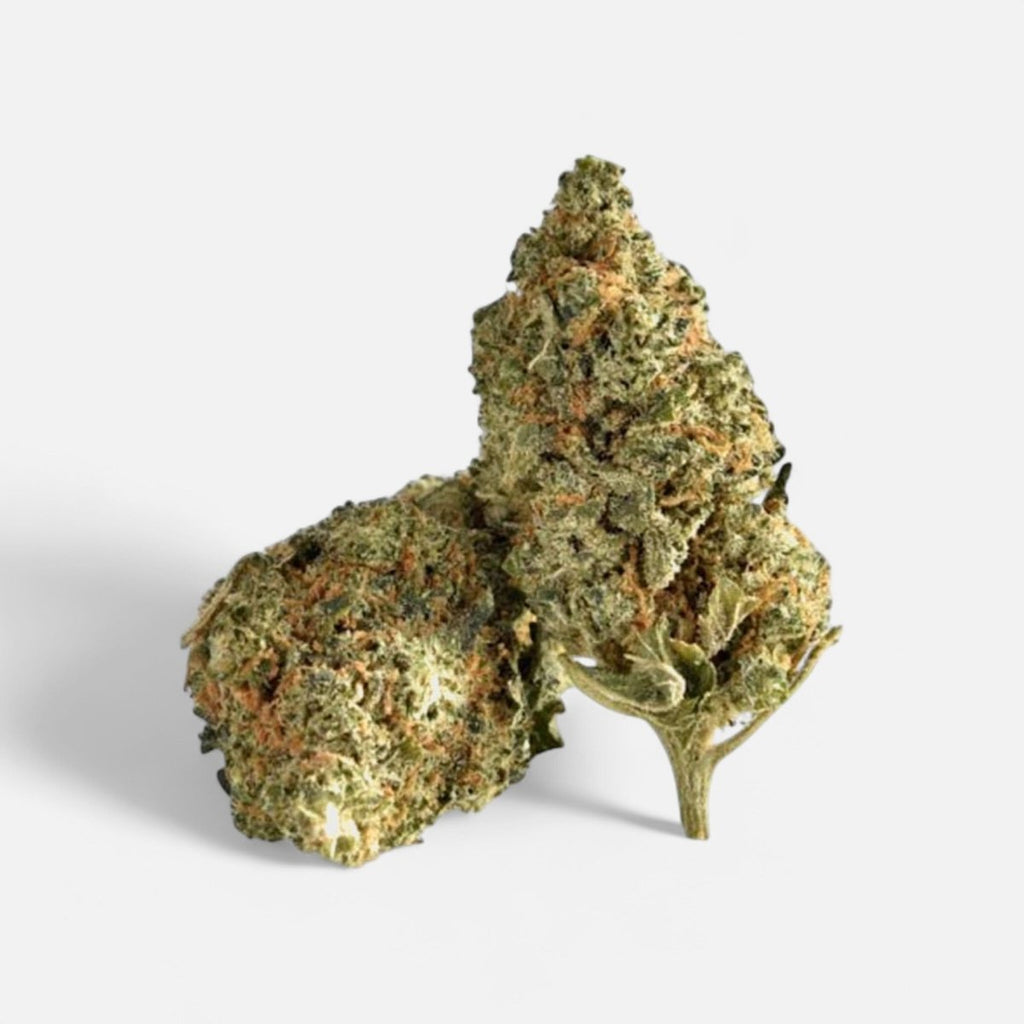 🍒 Cherry Calussi 14% CBD Blüten 3g Dose - Hanfify