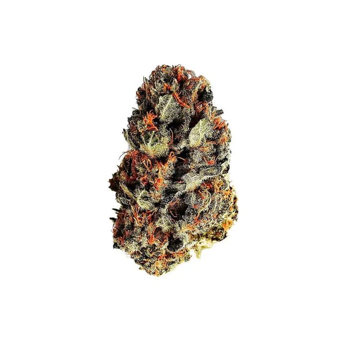 Dance World | Feminisiert Cannabissamen - Hanfify
