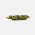 💥 Diesel Dynamite - SATIVA TURBO LVL 5/5 Blüten 5g - Hanfify