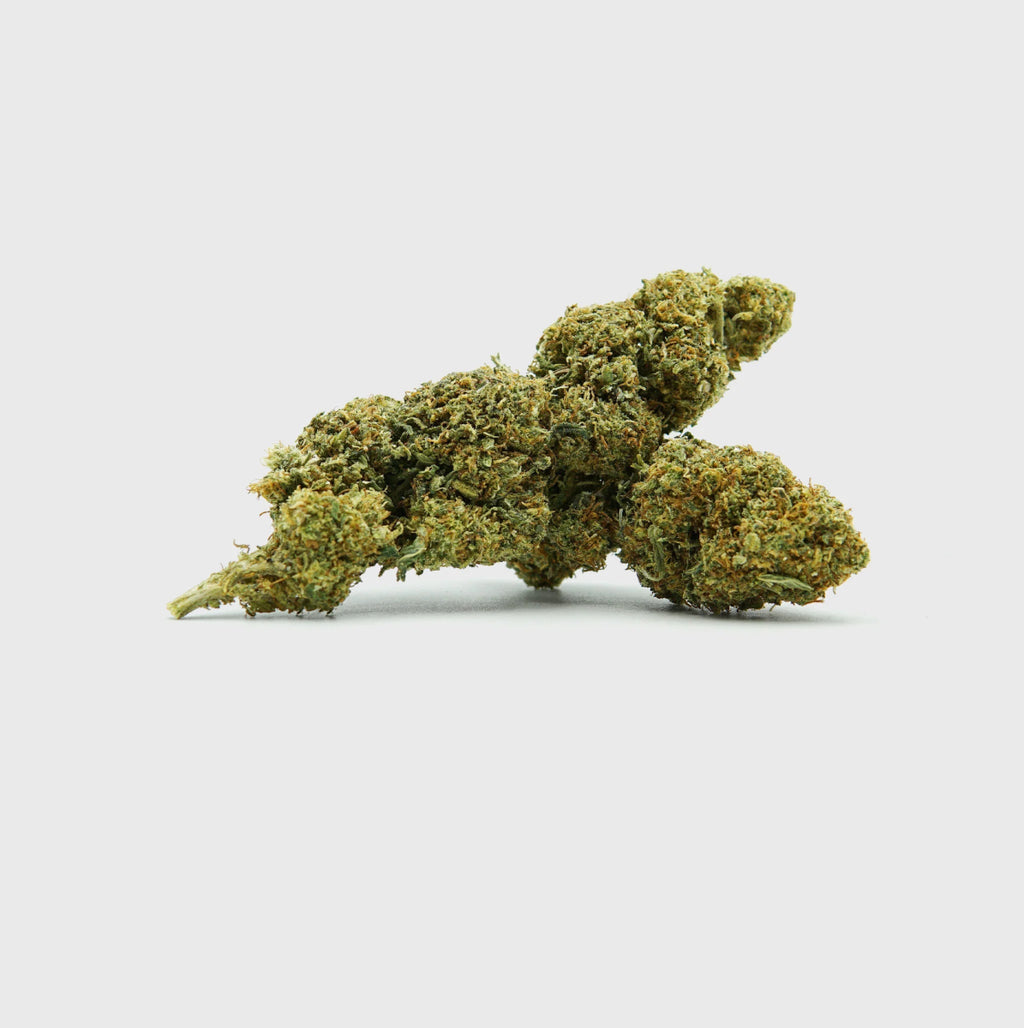 💥 Diesel Dynamite - SATIVA TURBO LVL 5/5 Blüten 5g - Hanfify