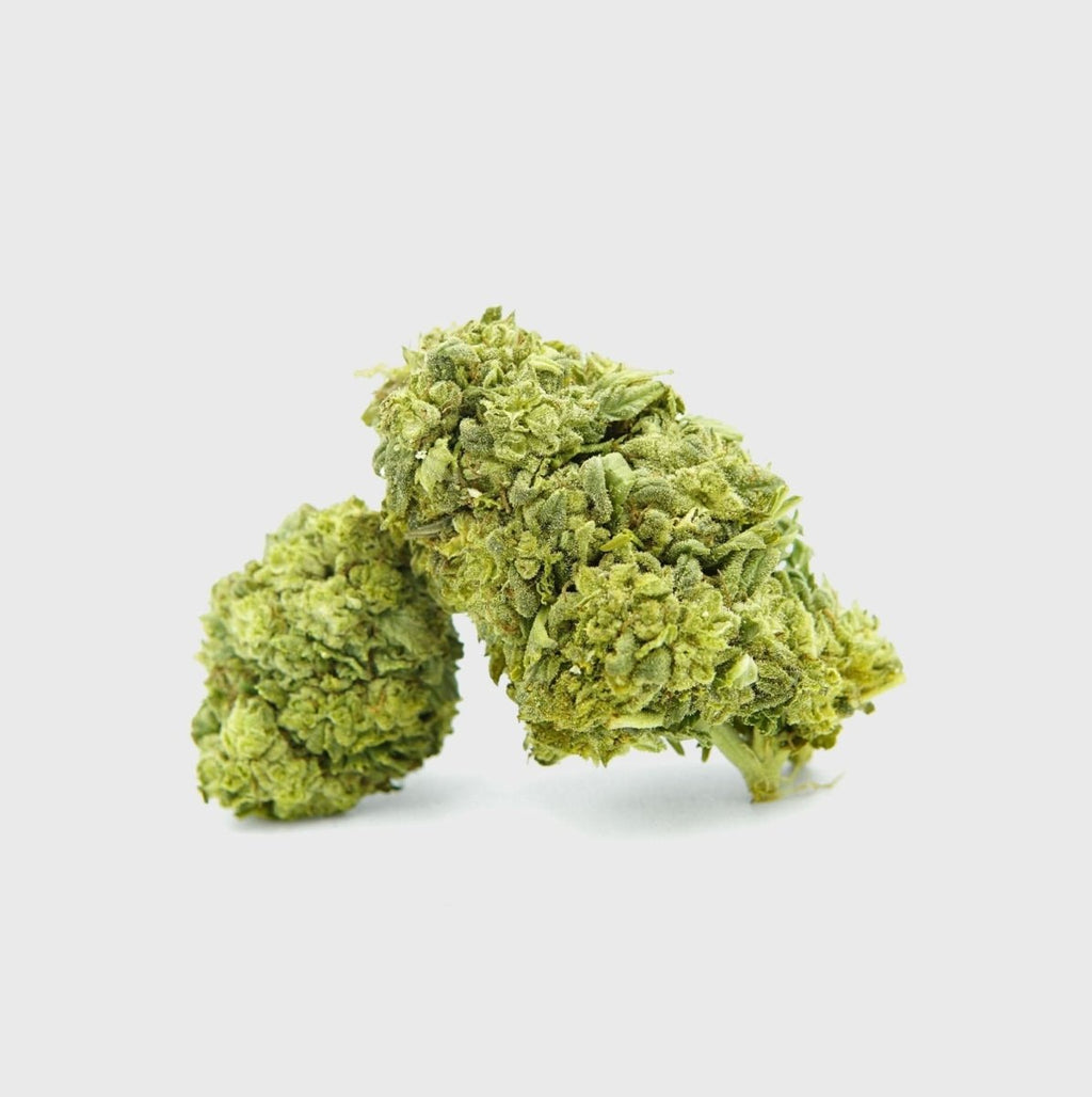 🧊🍪 Frosted Cookies 55% Superior Blüten 5g - Hanfify