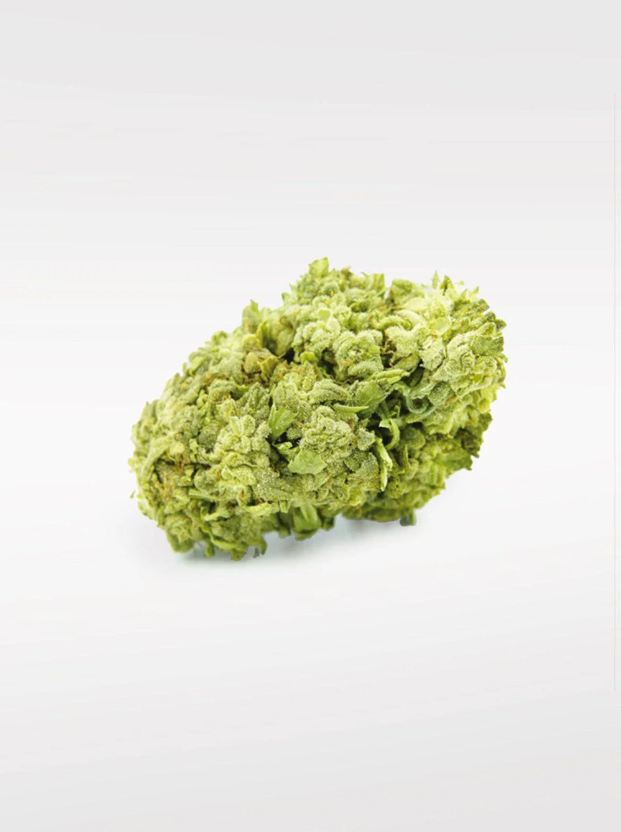 Frosted Cookies - Superior Blüte 55% Blüten - Hanfify