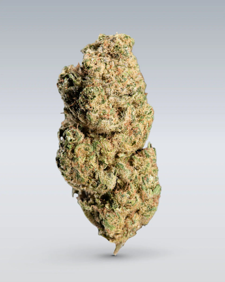 Frosty - CBD Blüte 18% Blüten - Hanfify