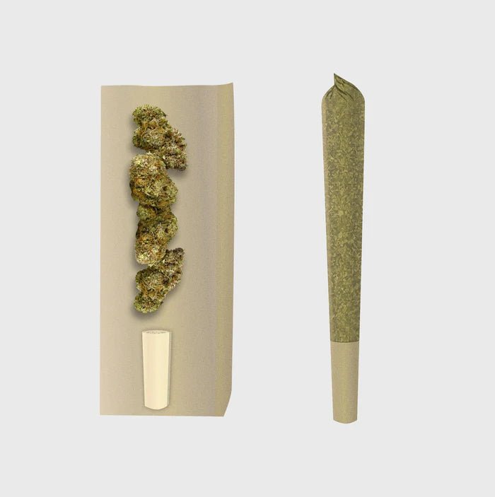🍦 Gelato Prerolls - POWER LVL: 4/5 Joints 3er Pack - Hanfify