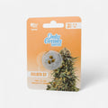 Gelato THC - Seeds Cannabissamen - Hanfify