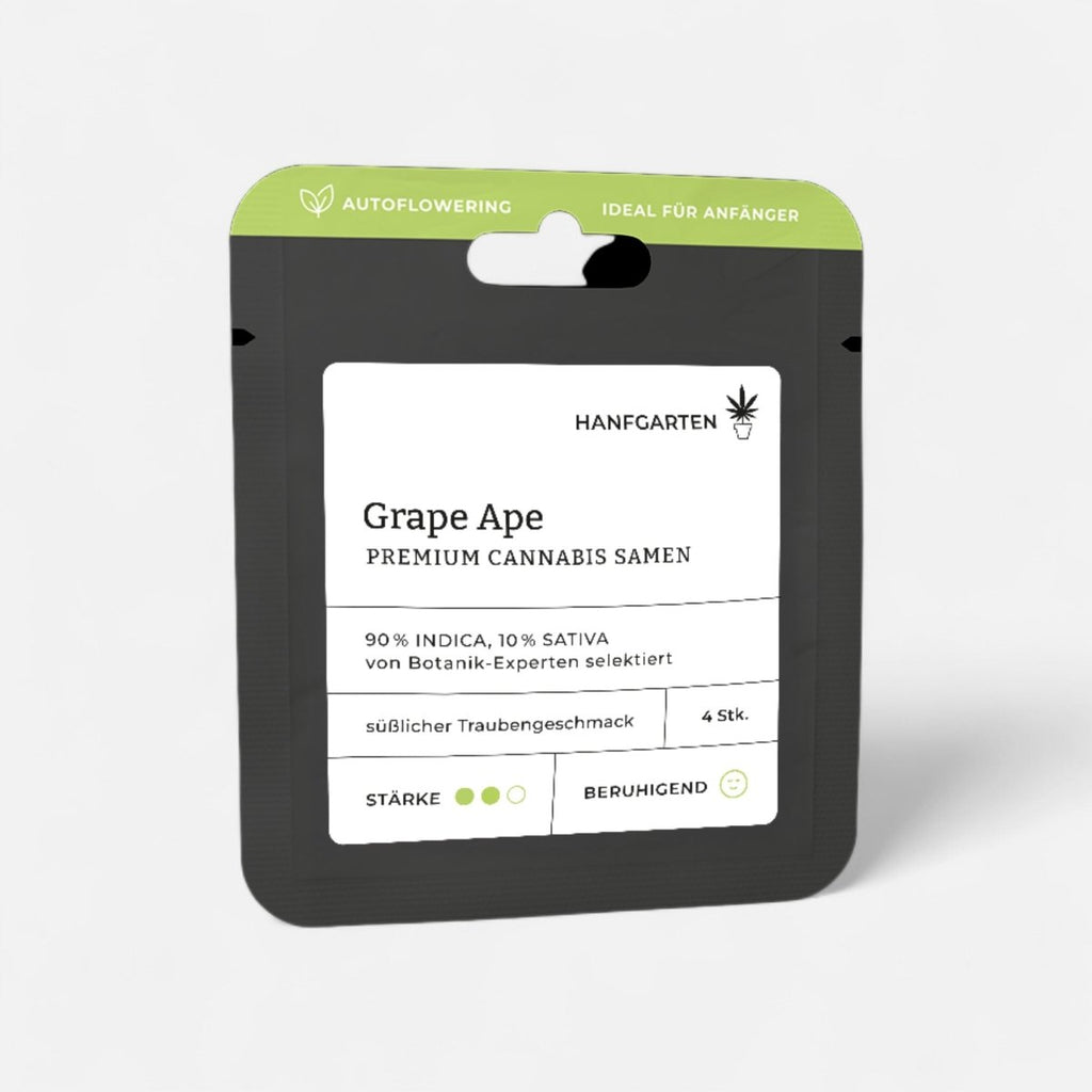 Grape Ape | Autoflowering Cannabissamen - Hanfify