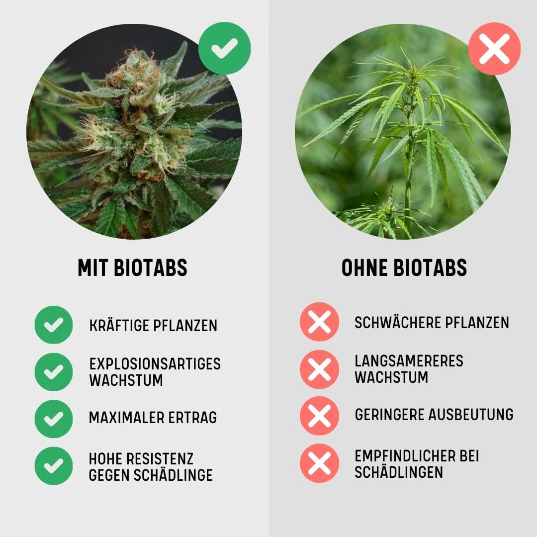 Grow Starter Kit / Dünger + 3*3 Samen Growshop - Hanfify