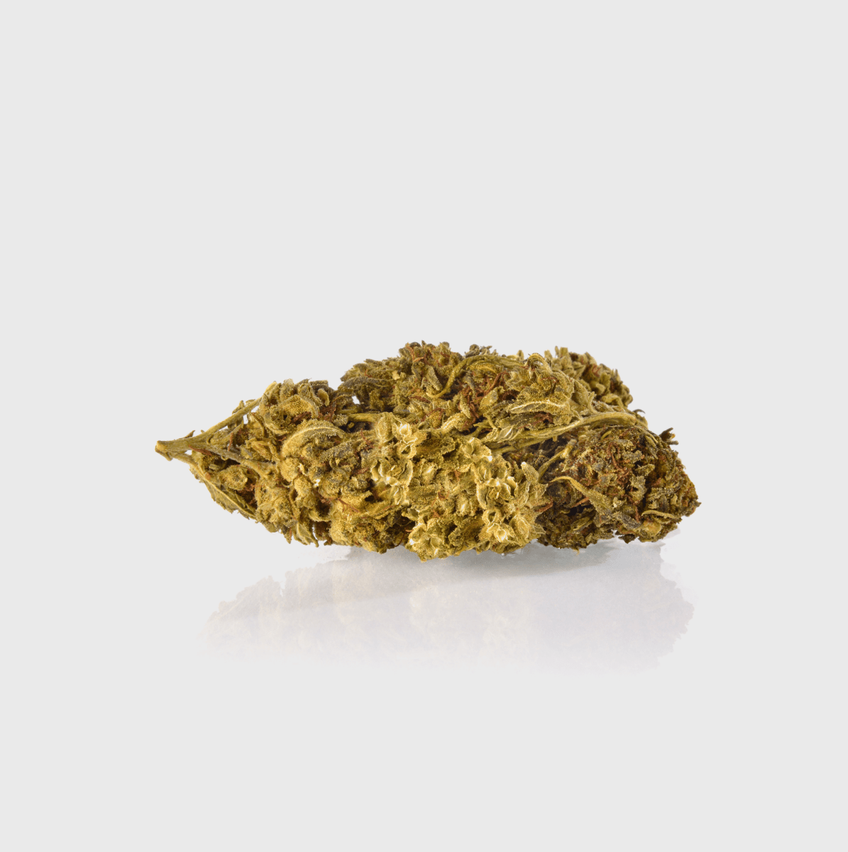 Guerillas Gusto Blüten 5g Superior - Hanfify