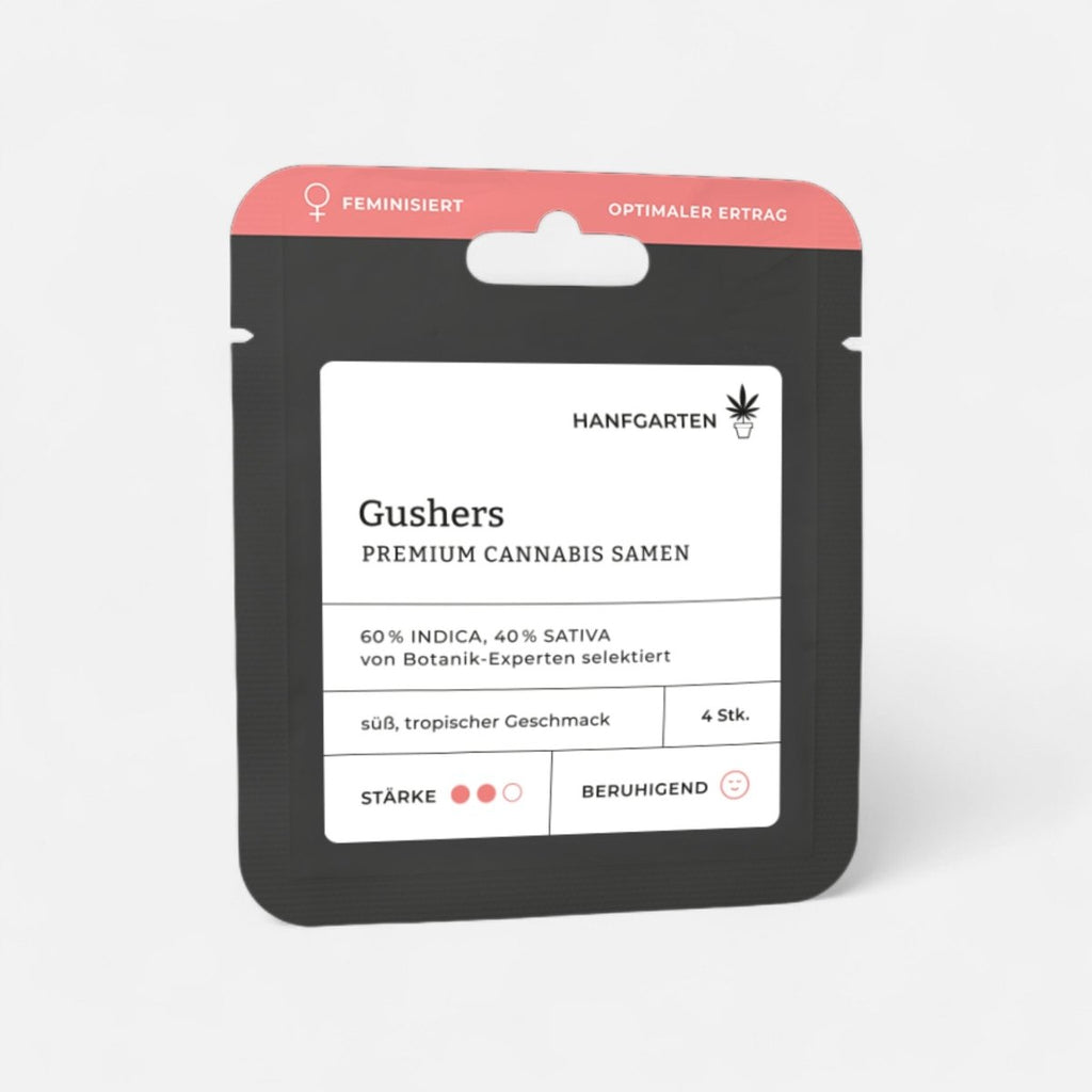 Gushers | Feminisiert Cannabissamen - Hanfify