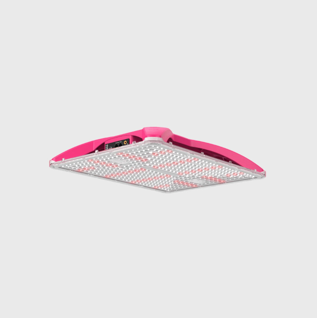 Happy420 Growbox Komplettset Growshop L Premium: 60x60x140cm - Hanfify