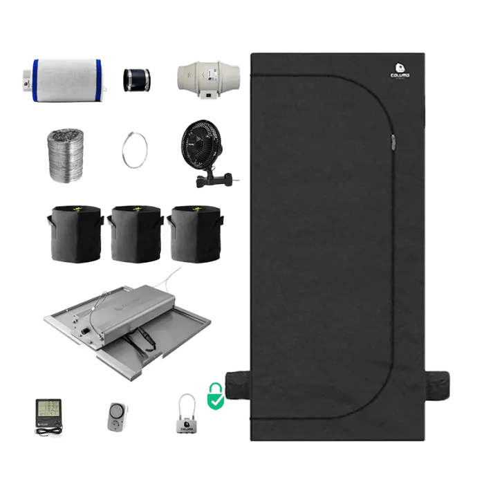 Indoor - Anbau Rundum Sorglos Paket | Stecklinge Hanfpflanzen - Hanfify