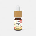 Ingwer ImmunDrops: Die hochkonzentrierte Kraft der Ingwerwurzel Smartshop 10 ml - Hanfify
