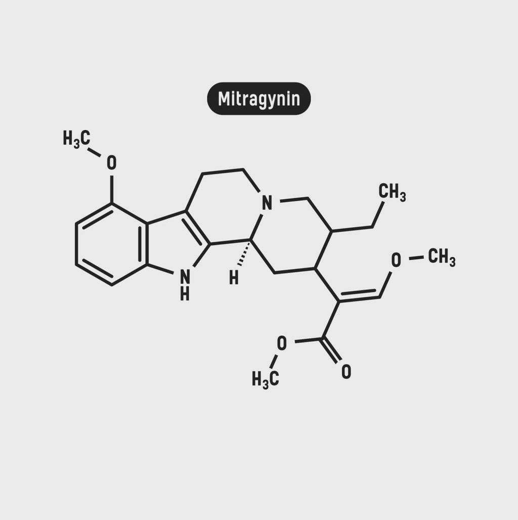 Kratom Red Borneo Smartshop - Hanfify