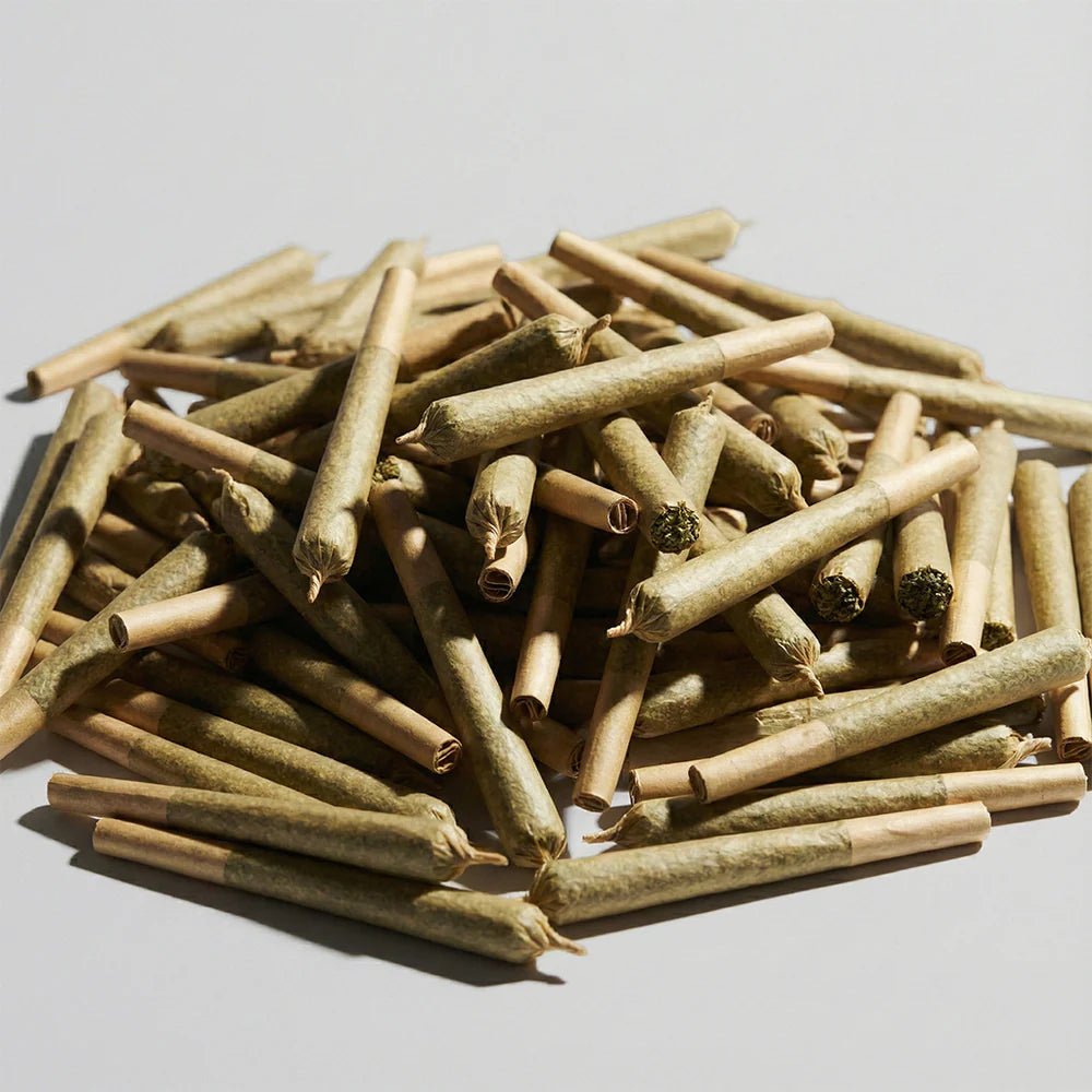 Lemon Cherry Gelato Joints 40% Superior Joints 5 Stück - Hanfify