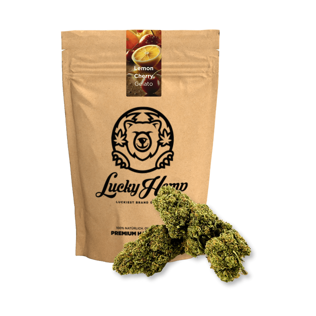 Lemon Cherry Gelato Ökopack Blüten 5g - Hanfify®