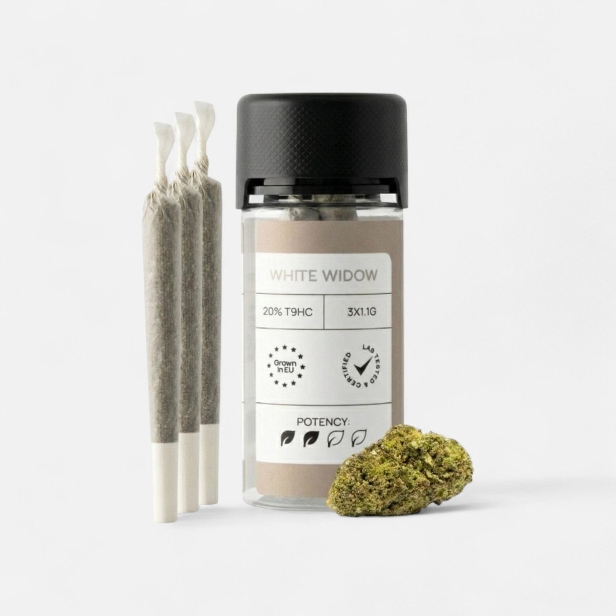 LIGHT JOINTS WHITE WIDOW Joints 3 Stück - Hanfify