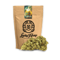 Limoncello Ökopack Blüten 5g - Hanfify®