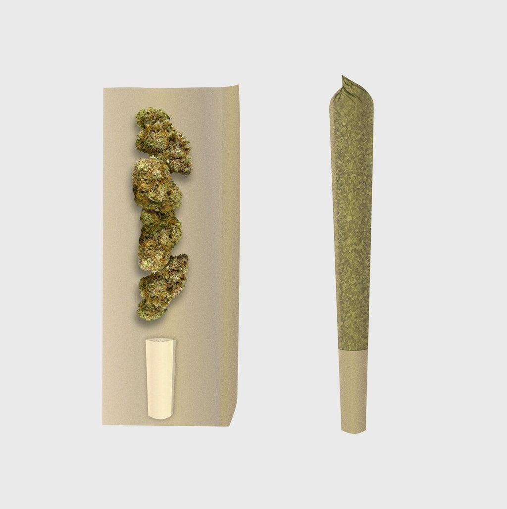 👹 Loom Hellfire Prerolls - Power LVL 4/5 Joints Blueberry Kush - Hanfify