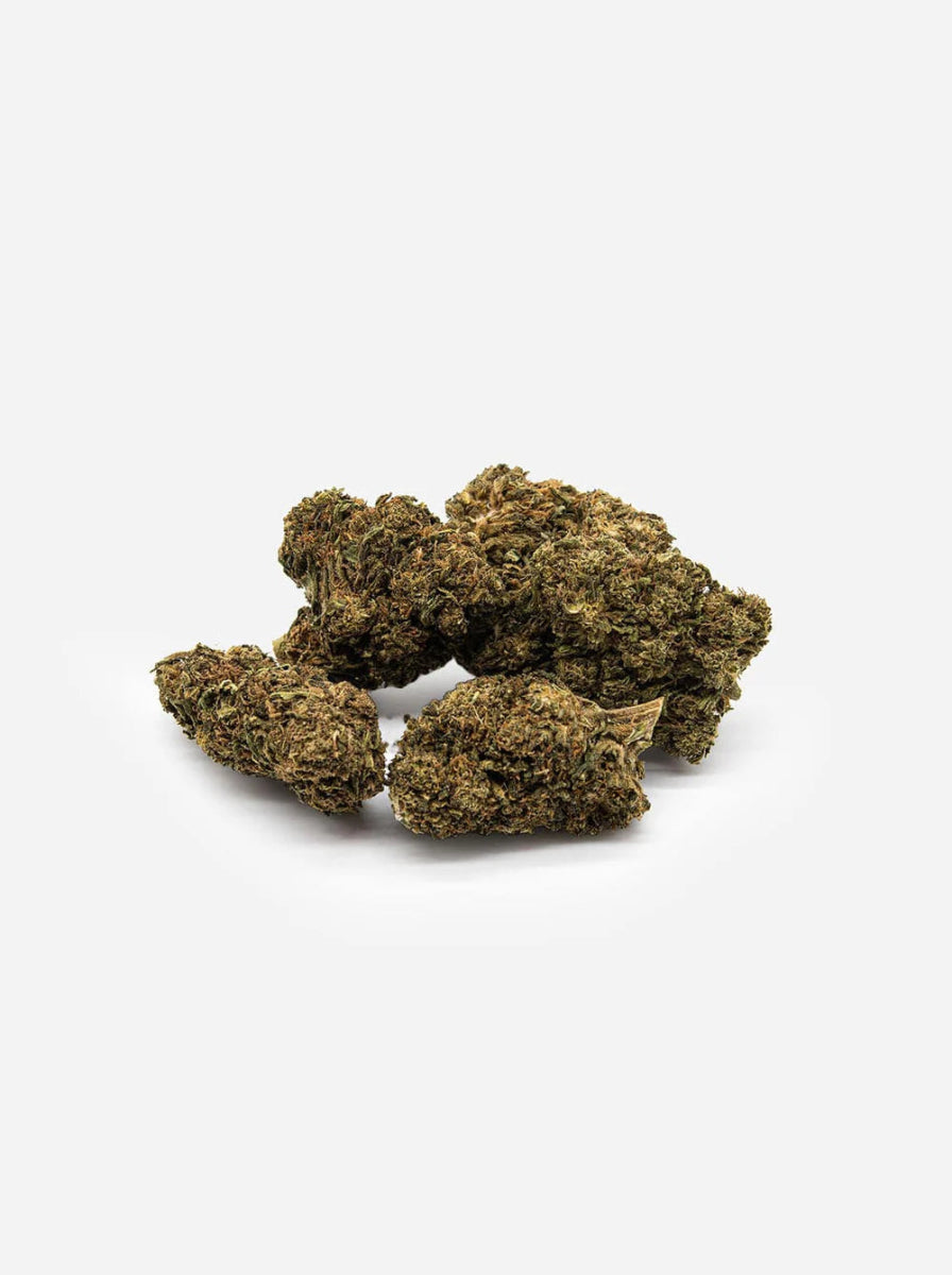 Maliboo Exotic - CALI CBD Blüte Blüten - Hanfify