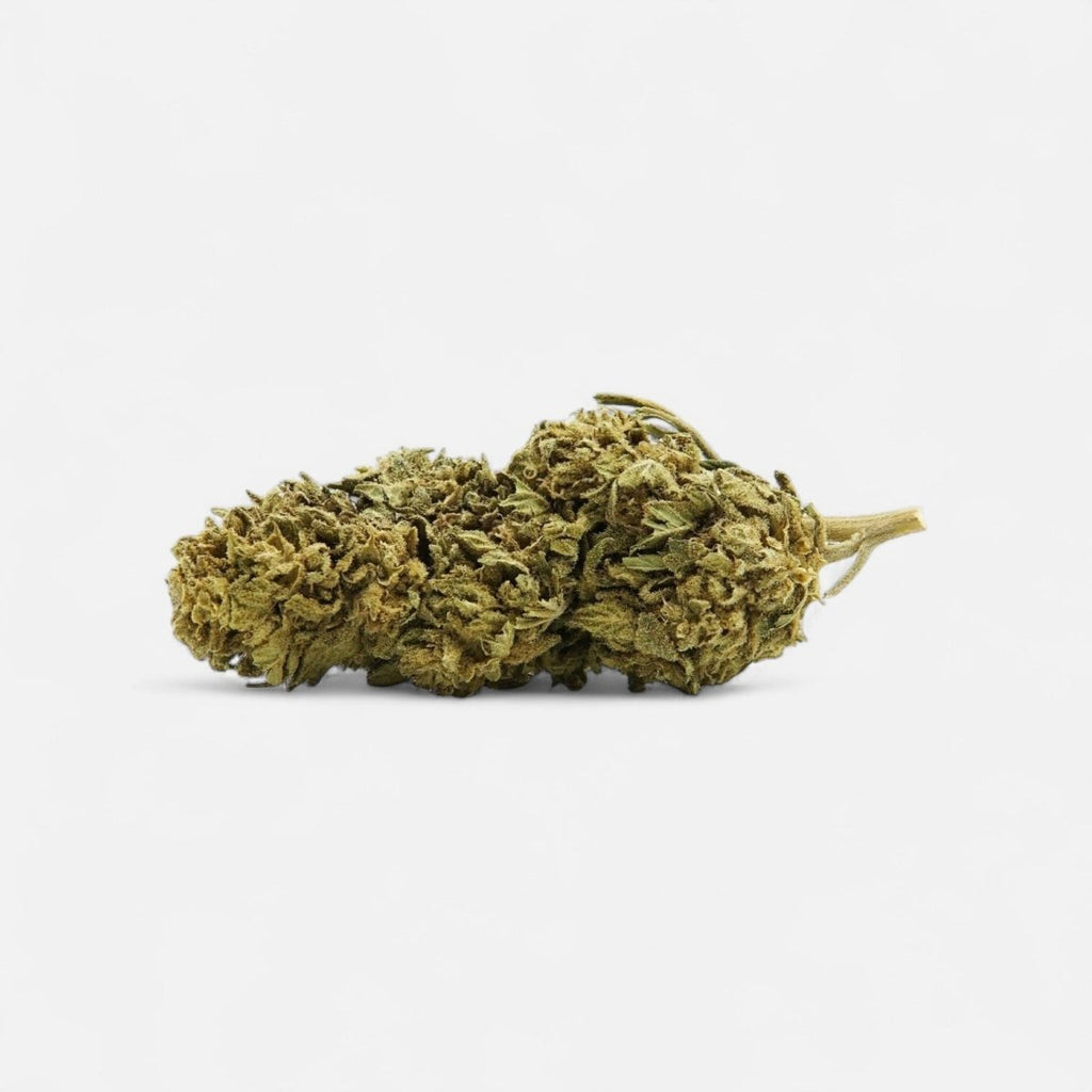 🌌 Northern Lights 2 5% CBD Blüten 5g Baggie - Hanfify