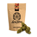 Orange Haze Ökopack Blüten 5g - Hanfify®