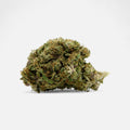 💎 ⁠Oriental Dates 19% CBD Blüten 2g im Glas - Hanfify