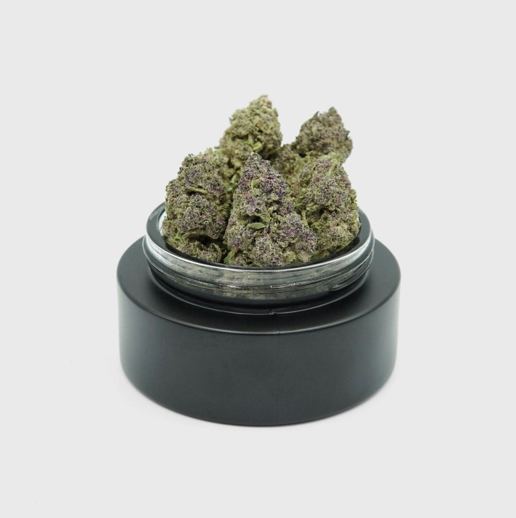 💜 Purple Dash 17% Cali CBG Blüten 2g im Glas - Hanfify