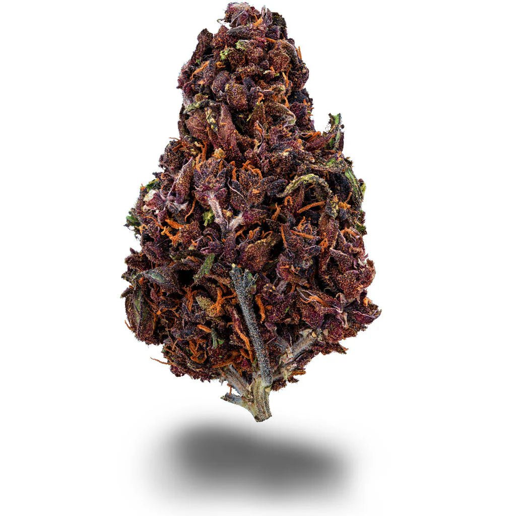 Purple Haze Blüten 2,5g - Hanfify
