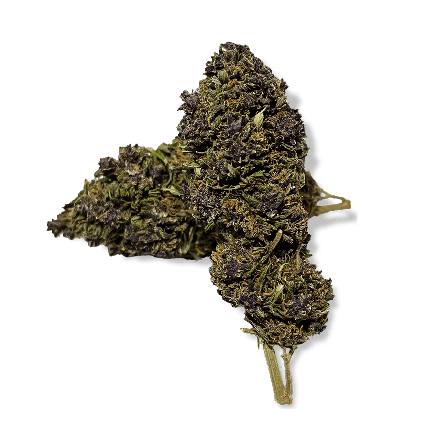Purple Haze Glas Blüten 3g - Hanfify®